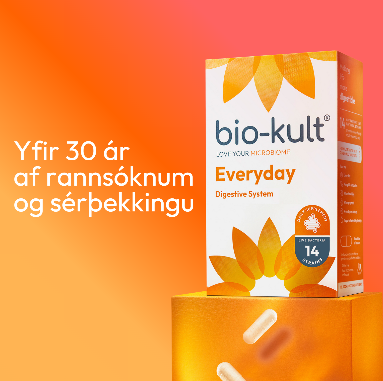 Skjámynd 2025 09 24 170424