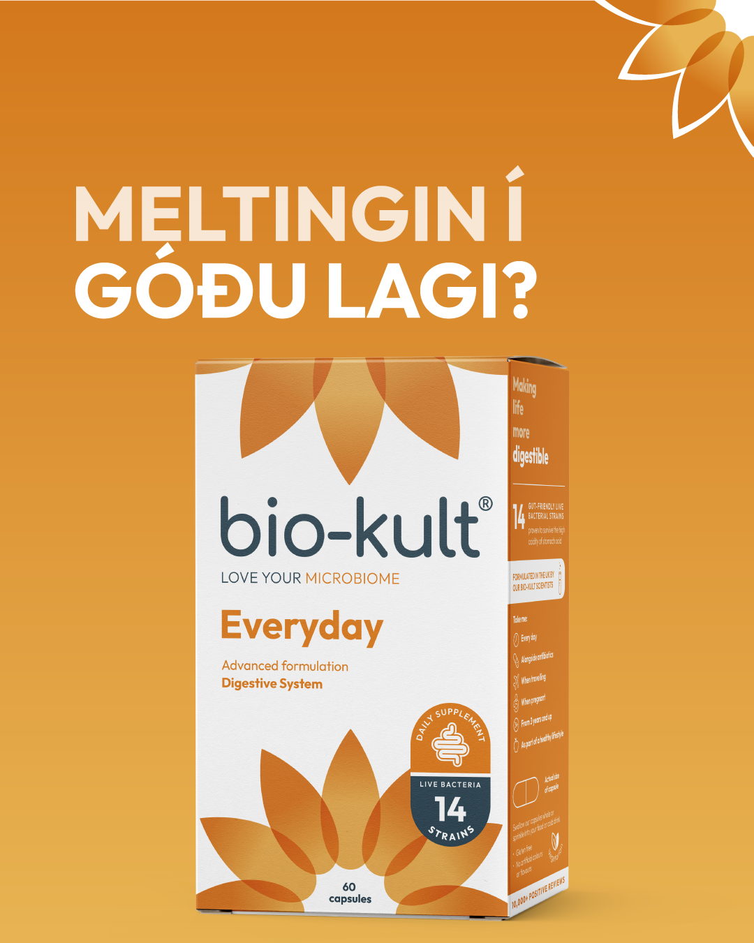 290-BioKult-Everday-Carousel-1.png (1)