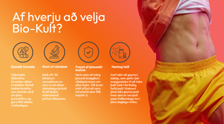 Skjámynd 2025 09 26 111023