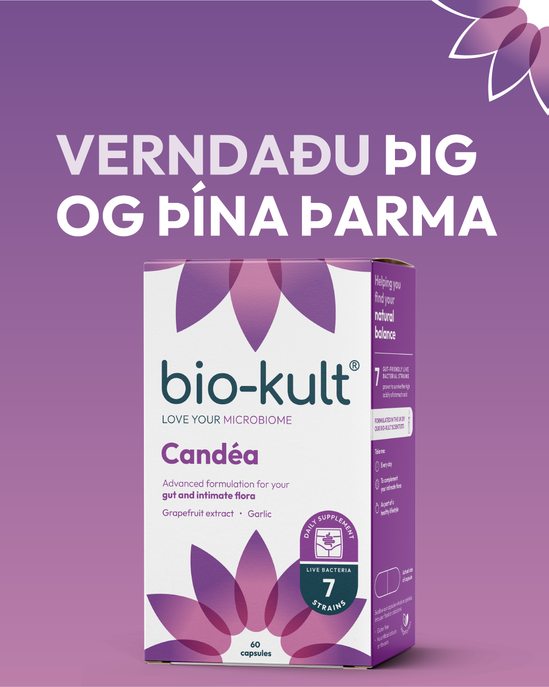 313-BioKult-Candéa-Carousel-1.png (1)