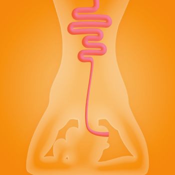 Skjámynd 2025 09 23 121242